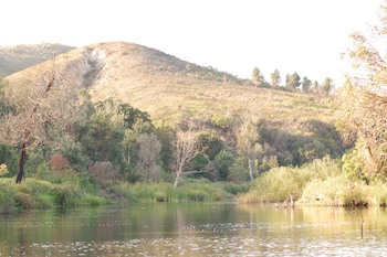 Botlierskop Private Game Reserve