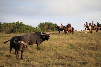 Botlierskop Private Game Reserve