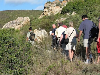 Botlierskop Private Game Reserve