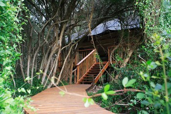 Botlierskop Private Game Reserve