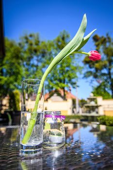 Eco Friendly Hotel Dalia