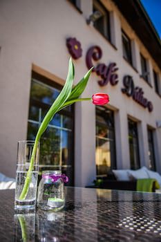 Eco Friendly Hotel Dalia