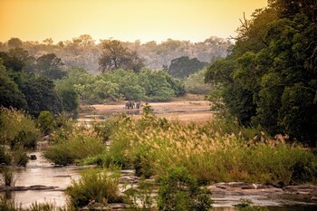 Rhino Post Safari Lodge