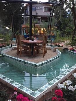 Natural pool