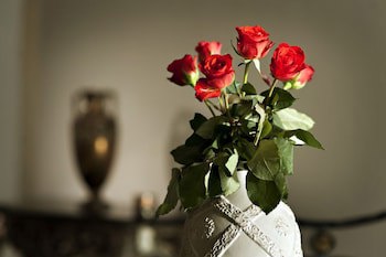 Antiq Palace Hotel And Spa