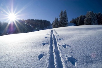 Berghotel Tirol
