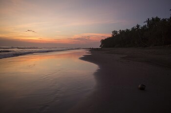 Kelapa Retreat & Spa