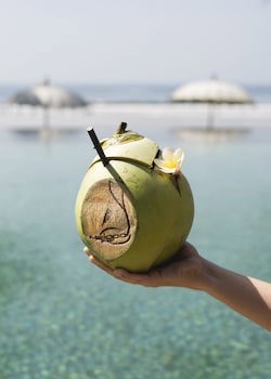 Kelapa Retreat & Spa