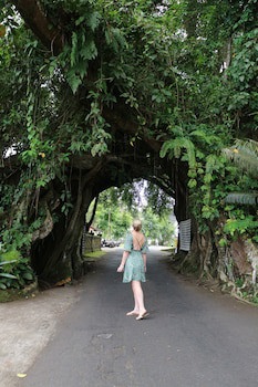 Kelapa Retreat & Spa