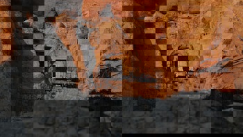 Yunak Evleri - Special Class