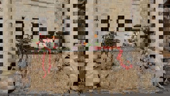 Yunak Evleri - Special Class