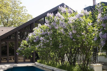 Bellaria Hotel