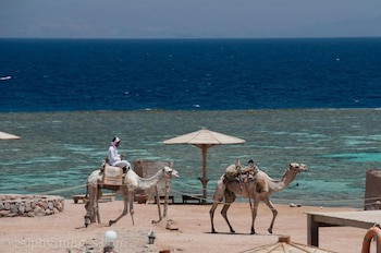 Daniela Village Dahab