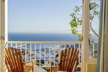 Albatross Guest House