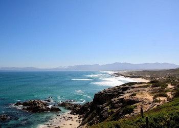 Sea Star Cliff