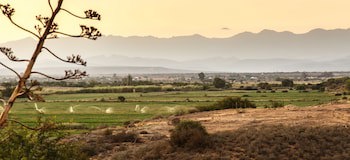 De Denne Country Guest House