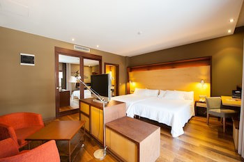 Sommos Hotel Aneto