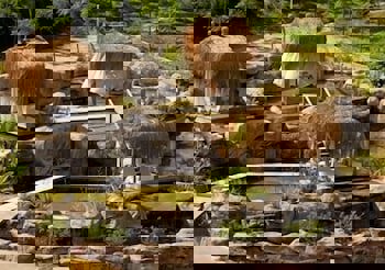 Sianji Well-Being Resort