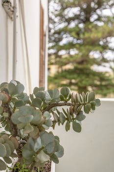 Airlies Guest House