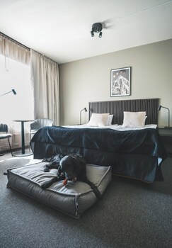 Sure Hotel By Best Western Stanga