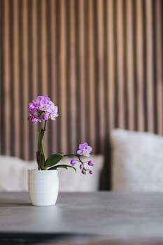 Sure Hotel By Best Western Stanga