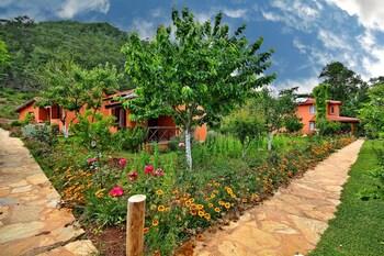 Dalya Life Hotel