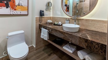 Holiday Inn Santo Domingo, An Ihg Hotel