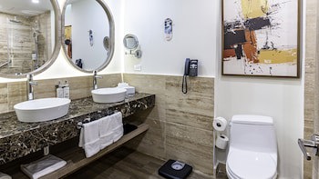 Holiday Inn Santo Domingo, An Ihg Hotel