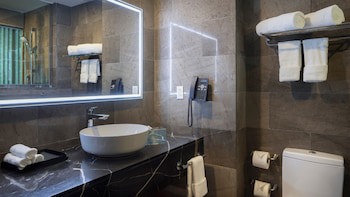 Holiday Inn Santo Domingo, An Ihg Hotel