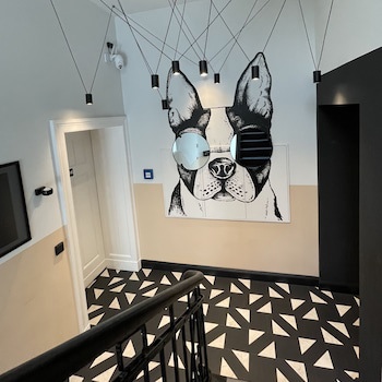 Hotel AVAlex fotoğrafı