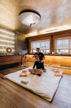 Hotel Alpine Palace