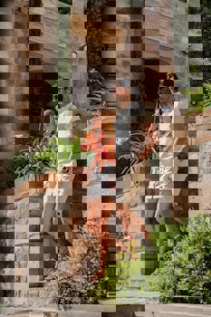 Hotel Taskonaklar Cappadocia - Special Class