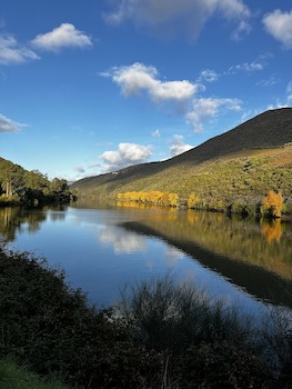 Hotel Folgosa Douro