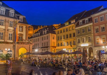 Goldener Falke fotoğrafı