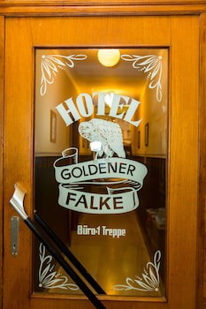 Goldener Falke fotoğrafı