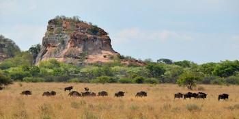 Zwahili Game Lodge & Spa