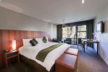 Te Waonui Forest Retreat