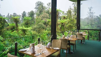 Te Waonui Forest Retreat