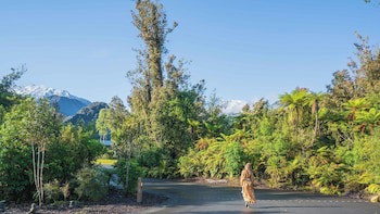 Te Waonui Forest Retreat