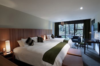 Te Waonui Forest Retreat