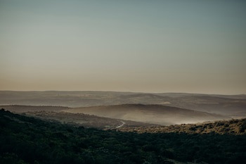 Bukela Game Lodge Amakhala Game Reserve