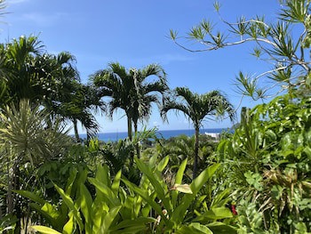 Caraibes Bonheur