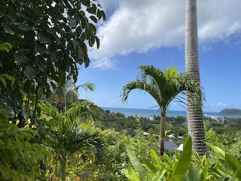 Caraibes Bonheur