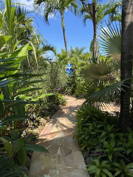Caraibes Bonheur