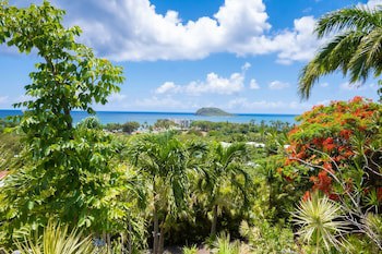 Caraibes Bonheur