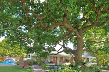 Montagu Vines Guest House