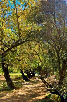 Montagu Vines Guest House