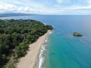 Cariblue Beach And Jungle Resort