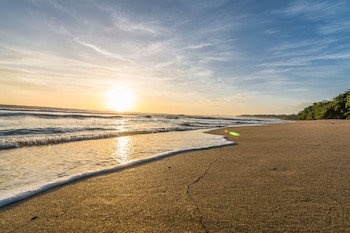 Cariblue Beach And Jungle Resort