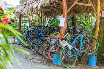 Cariblue Beach And Jungle Resort